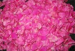 Steps for Making Wild Rose Jam