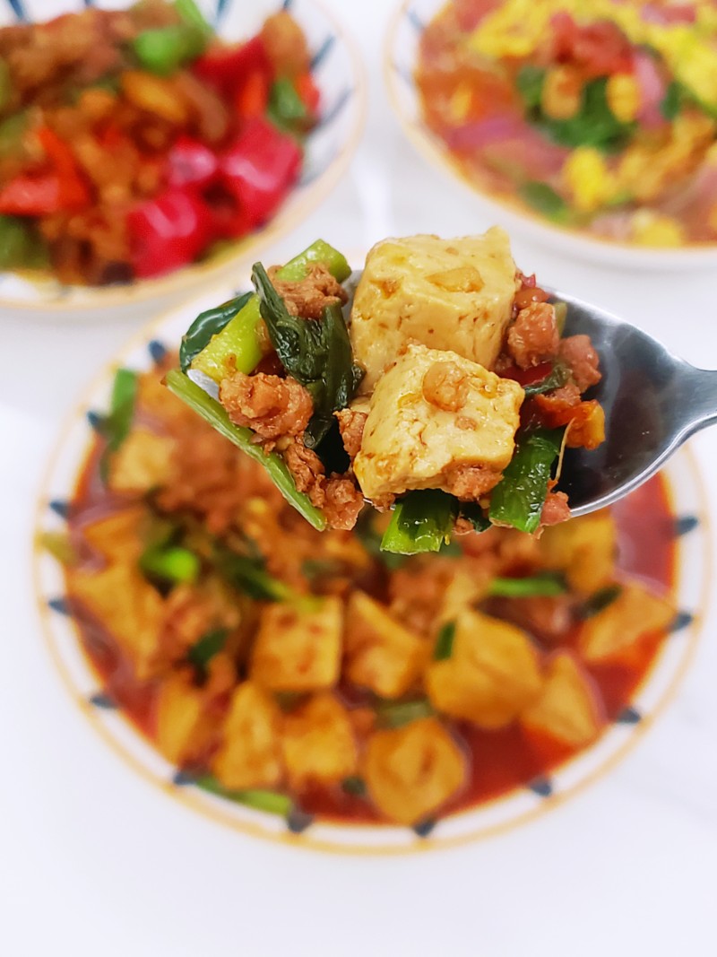 Sichuan-style Braised Tofu with Minced Pork