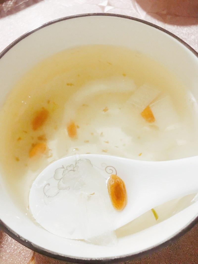 Snow Swallow Aloe Vera Soup