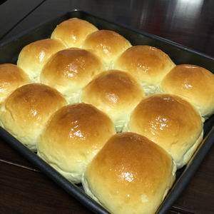 Honey Dinner Rolls