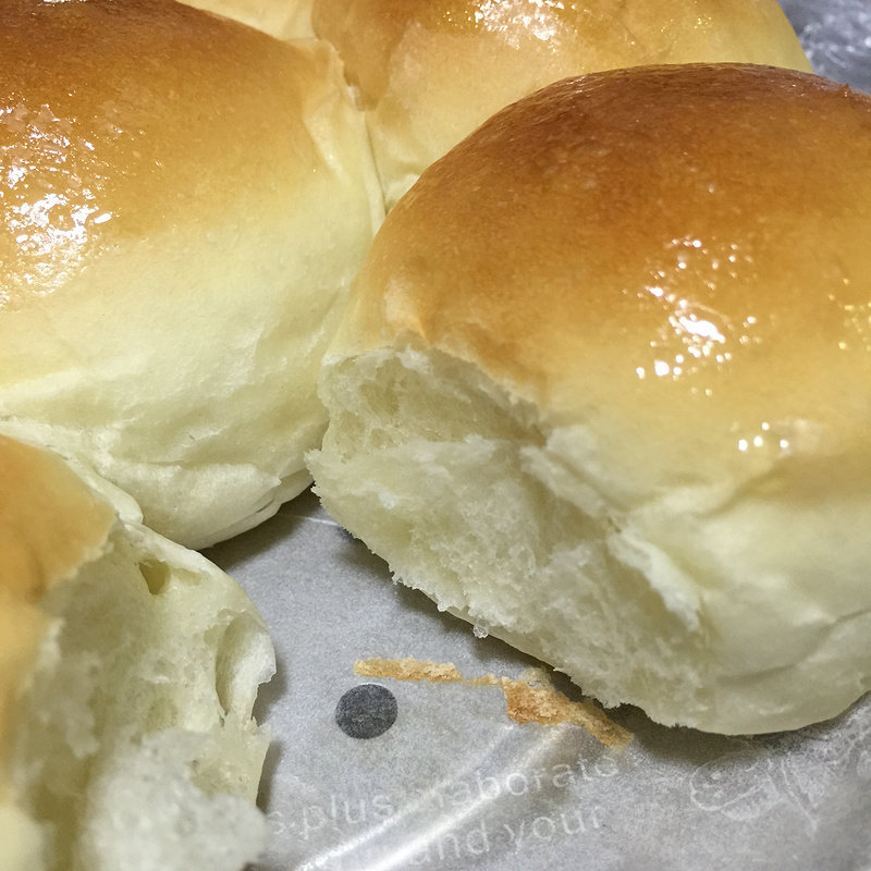 Honey Dinner Rolls