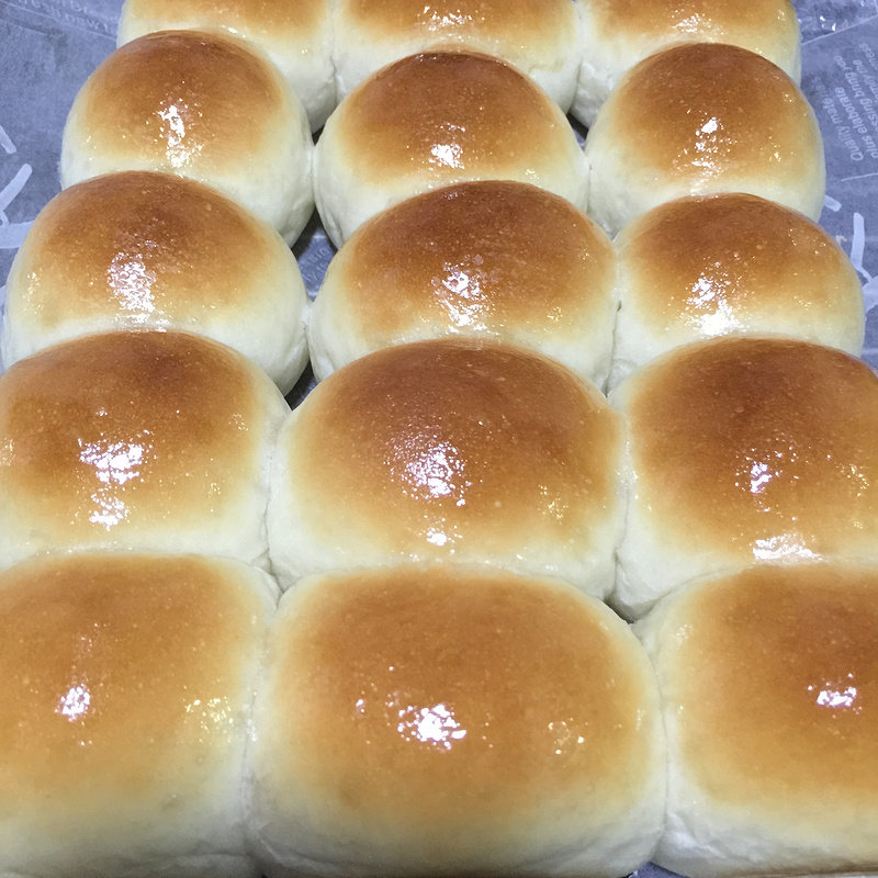 Honey Dinner Rolls