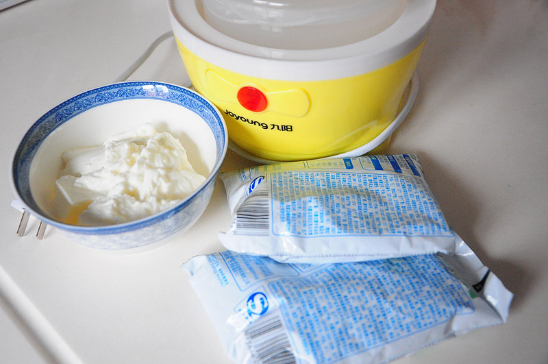 Steps for Making Homemade Yogurt