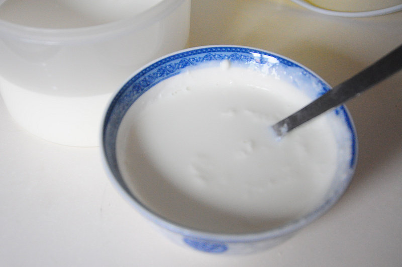 Steps for Making Homemade Yogurt