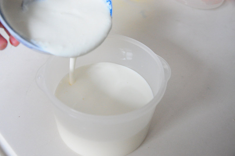 Steps for Making Homemade Yogurt