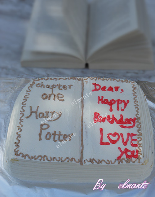 Son's Birthday - Book Cake