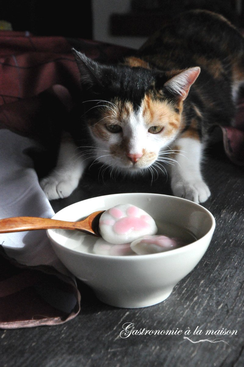 Cute Glutinous Rice Balls - Cat Paw Glutinous Rice Balls