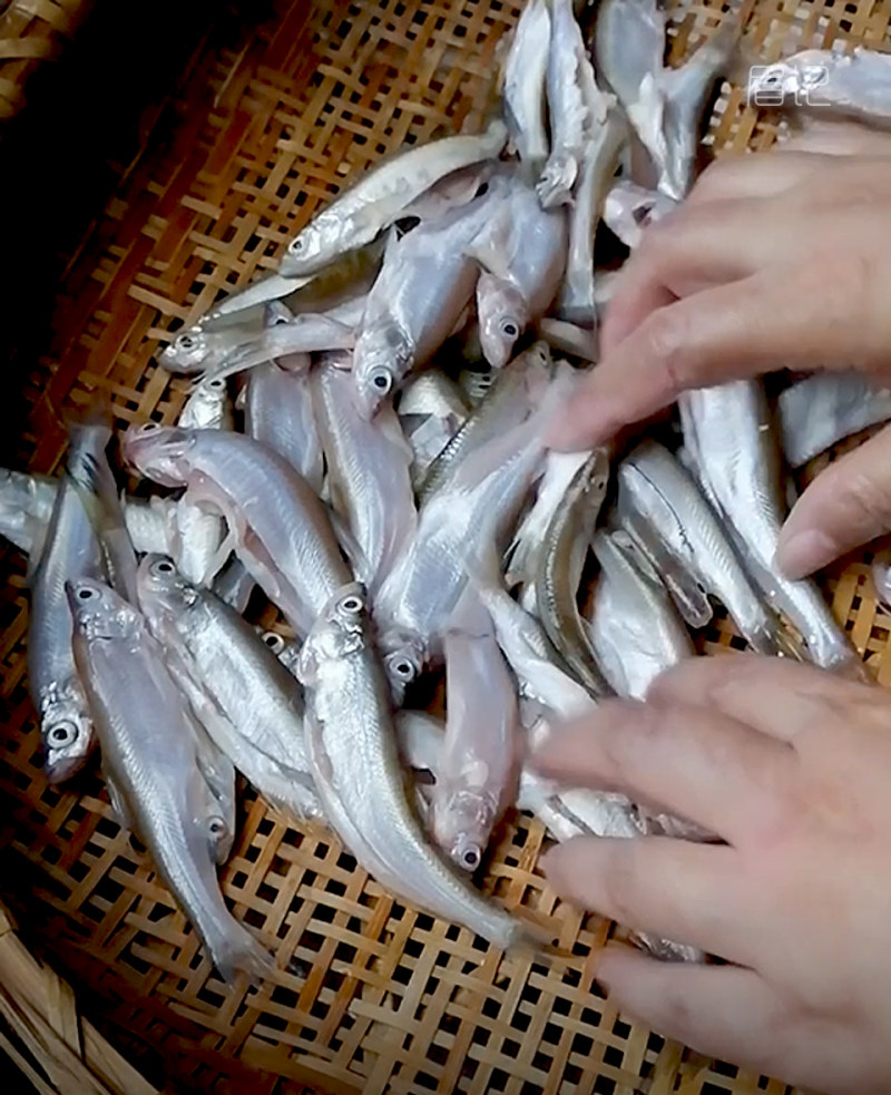 Steps for Making Fried Small Fish for Drinking