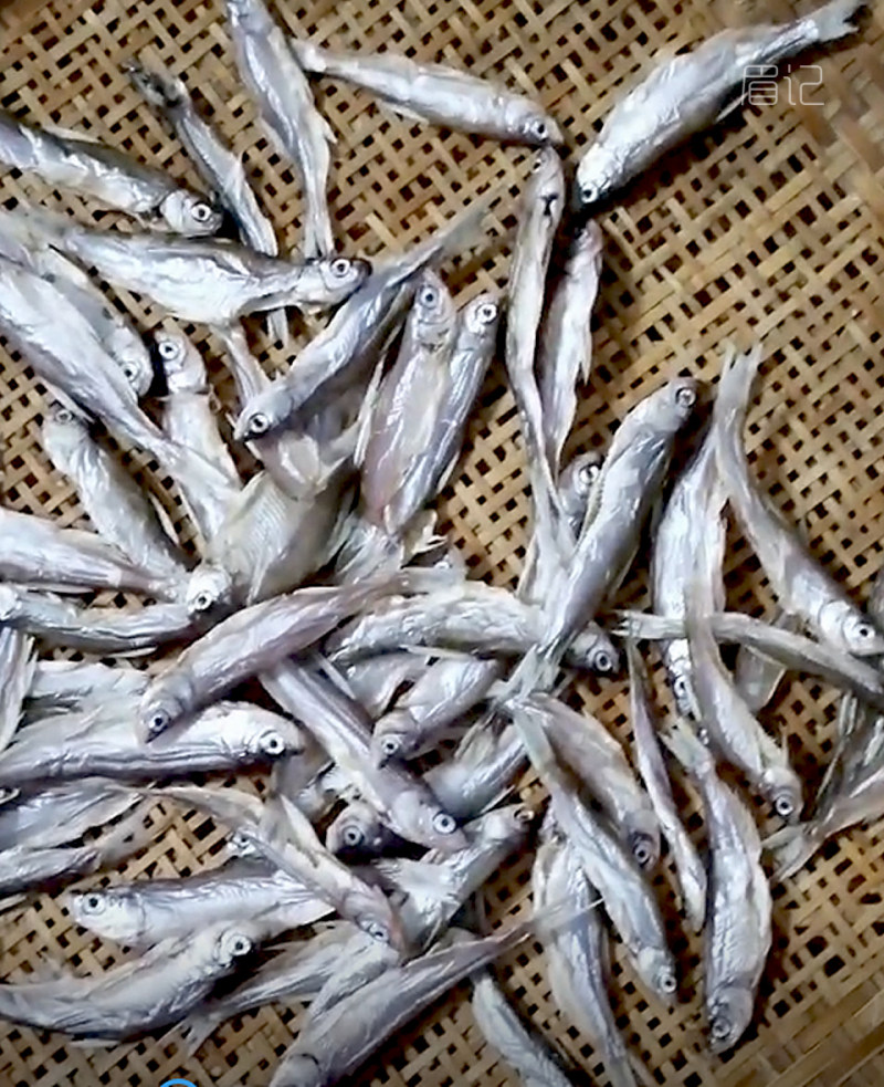 Steps for Making Fried Small Fish for Drinking