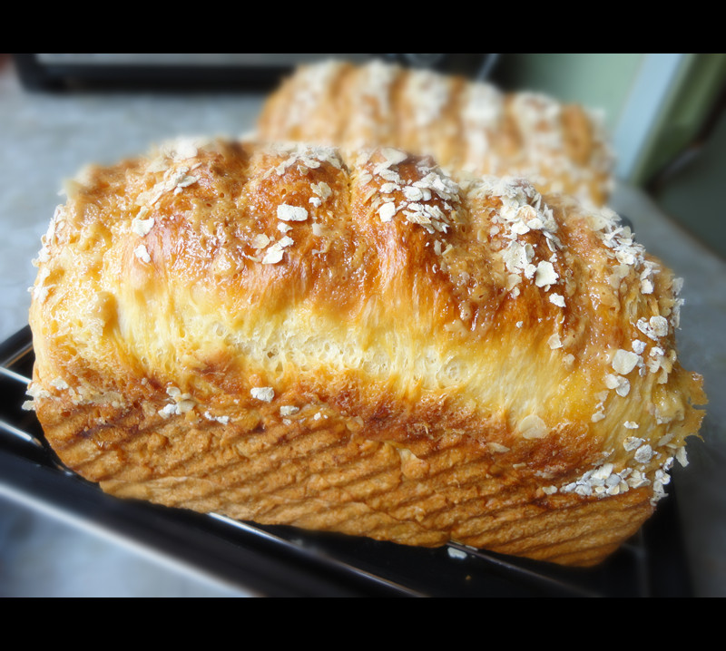 Oat Toast Bread