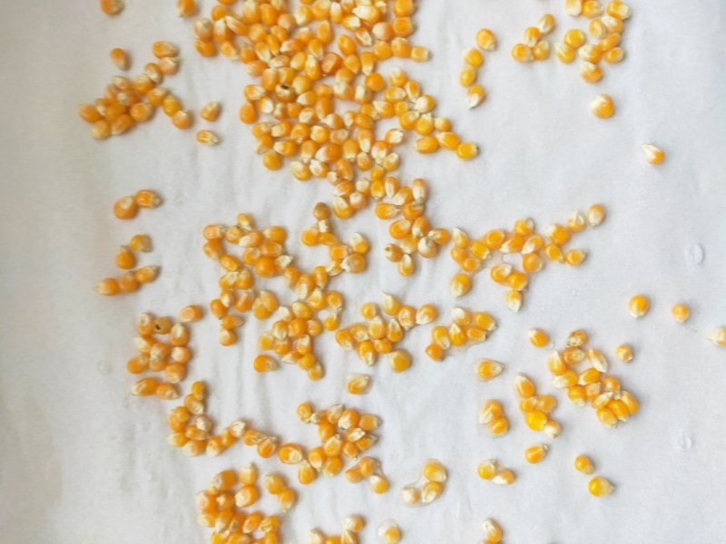 Must-Have Snack for Holidays: Simple and Quick Original Popcorn - Step by Step