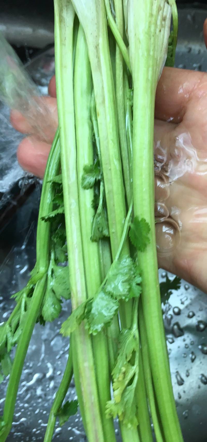 Sausage Stir-Fried Cilantro Stems Step by Step