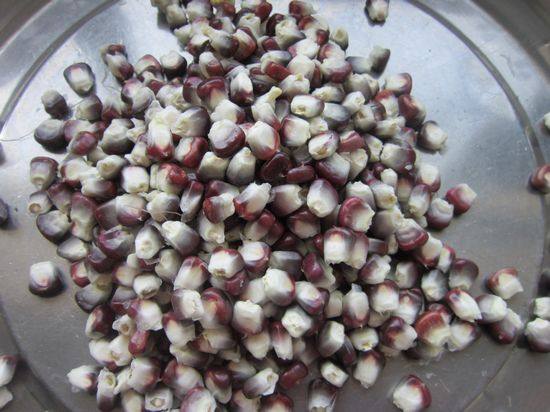 Steps for Making Purple Corn Pancakes in an Electric Skillet