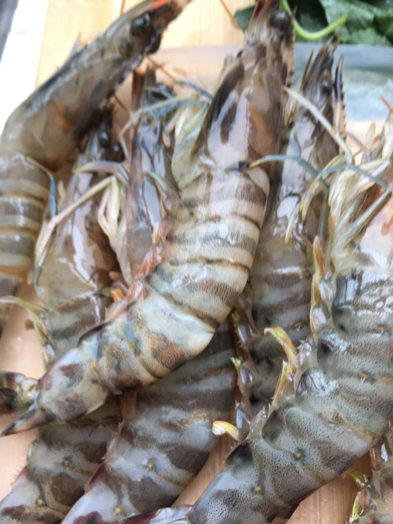 Detailed Steps for Steamed Egg with Fresh Shrimp