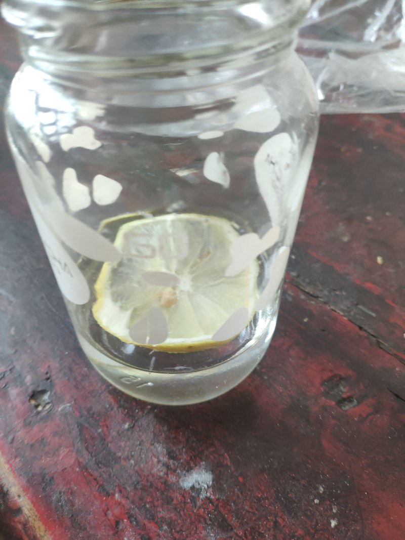 Steps to Make Lemon Sprite