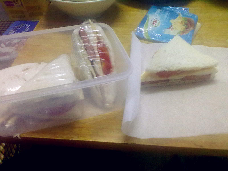 Homemade Sandwich~~