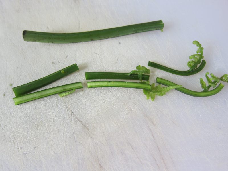 Stir-Fried Baku (Wild Jue Cai) Cooking Steps