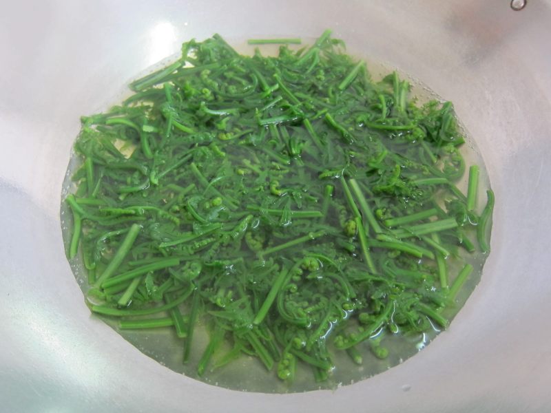 Stir-Fried Baku (Wild Jue Cai) Cooking Steps