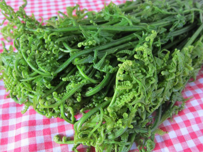 Stir-Fried Baku (Wild Jue Cai) Cooking Steps