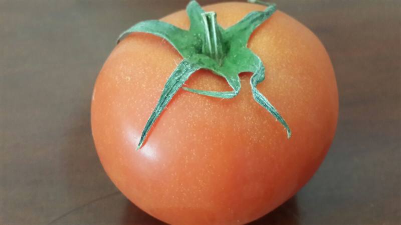 Steps for Making Tomato Congee