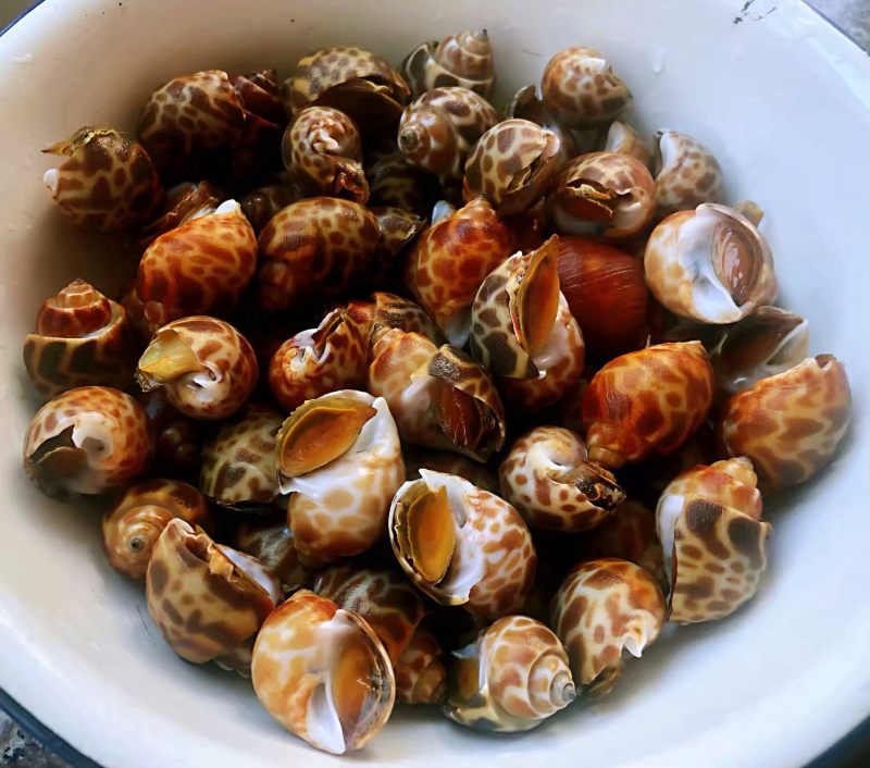 Steps for Making Spicy Stir-Fried Snails