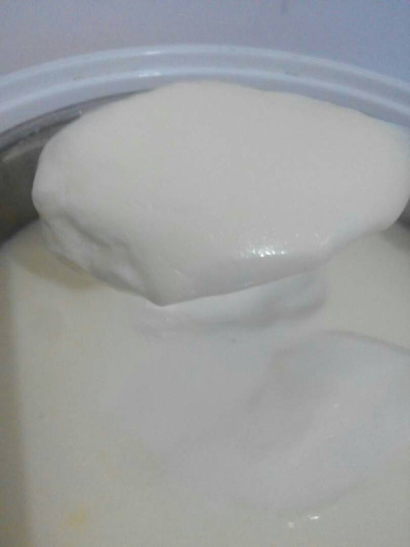 Steps for Making Homemade Delicious Yogurt