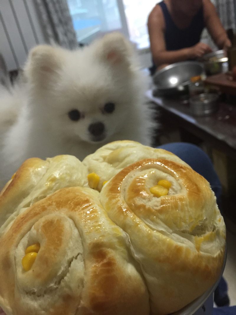 Steps for Making Hokkaido Bread