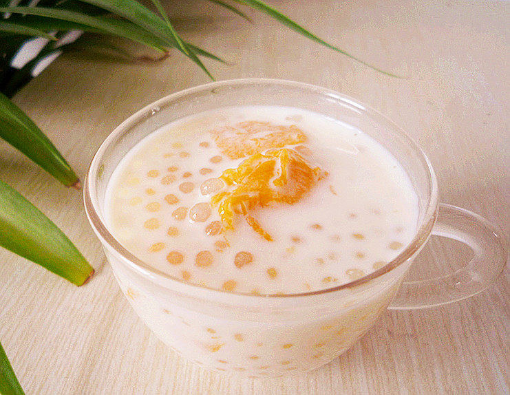 Mango Sago Dessert