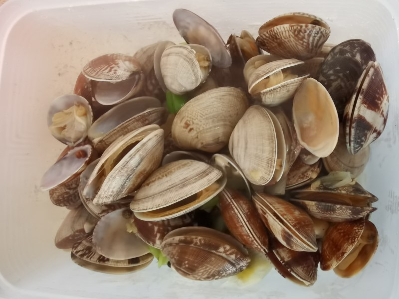 Dry Pot Clam Cooking Steps