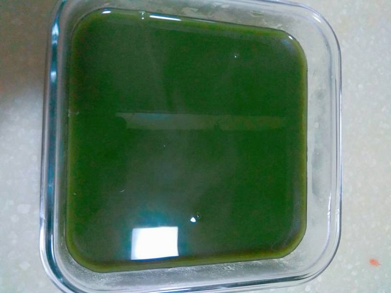 Steps to make Green Tea Watermelon Jelly