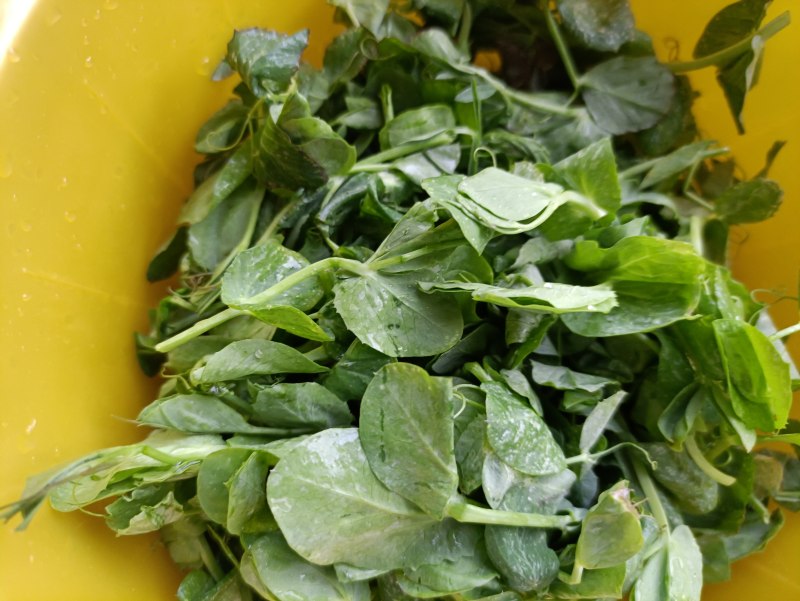 Step-by-Step Cooking Instructions for Snow Pea Shoots with Chicken Breast