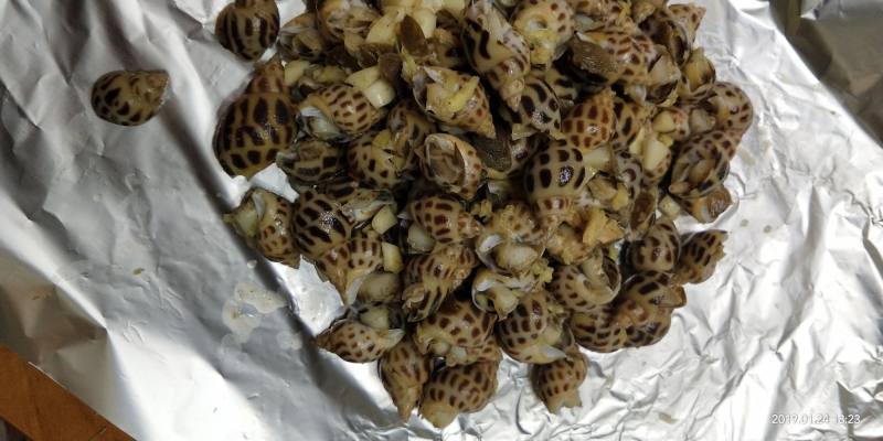 Steps to Cook Salt-Baked Conch