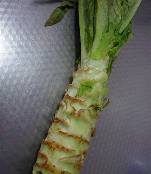 Detailed Steps for Making Crispy and Tender Cold Dressed Bamboo Shoots