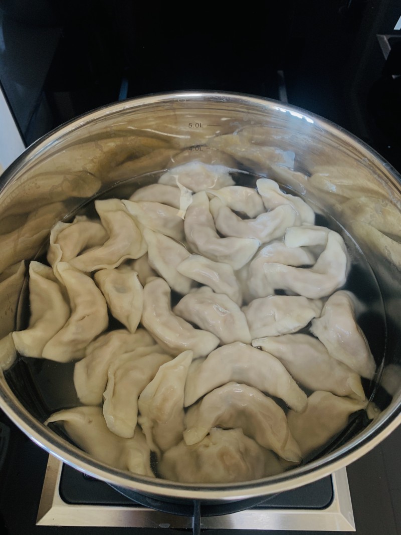 Pork and Scallion Dumplings