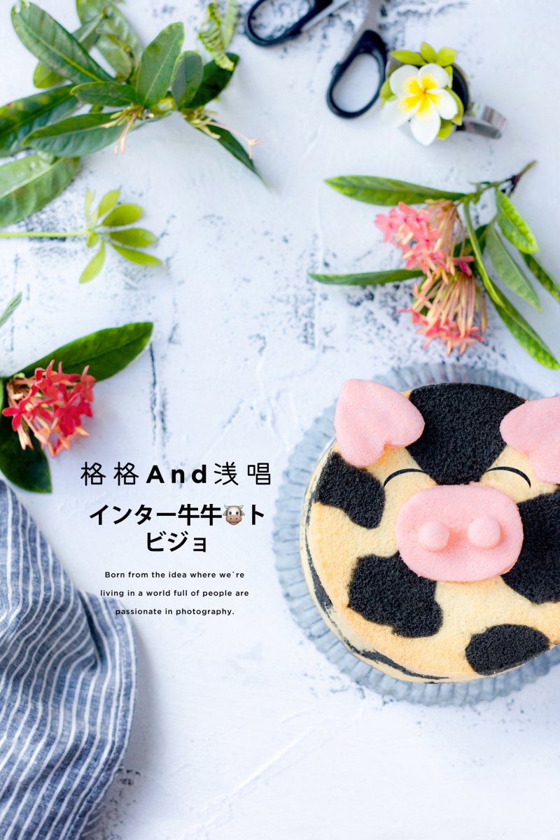 Bamboo Charcoal Cow Cow Cake