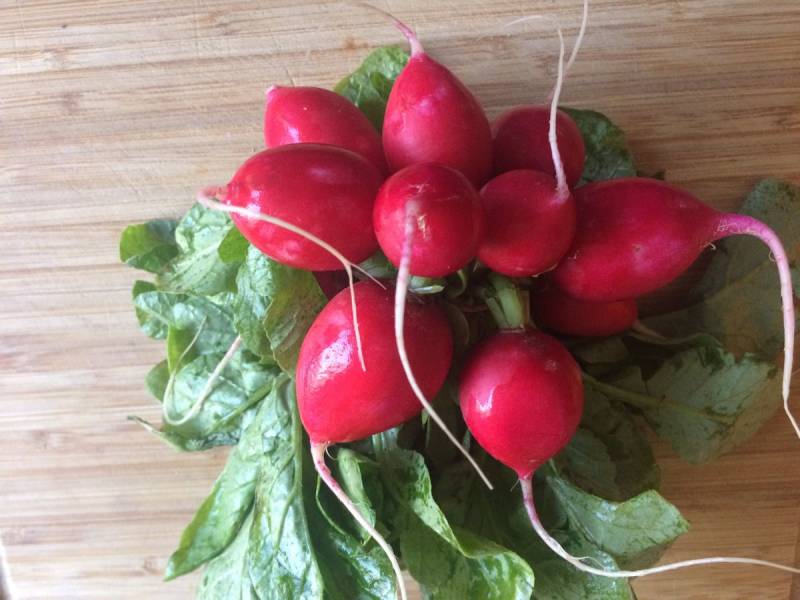 Steps for Making Pickled Cherry Radish with Peppers