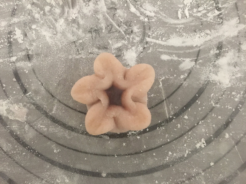 Cherry Blossom and Fruit Making Steps