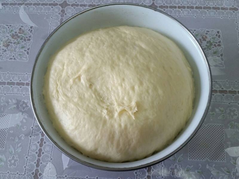 Steps for Making Honey Dinner Rolls