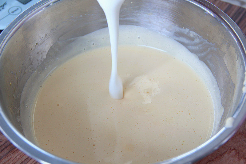 Steps for Making Yogurt Ice Cream