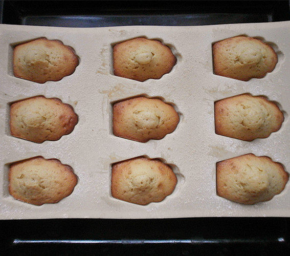 Madeleines Cooking Steps