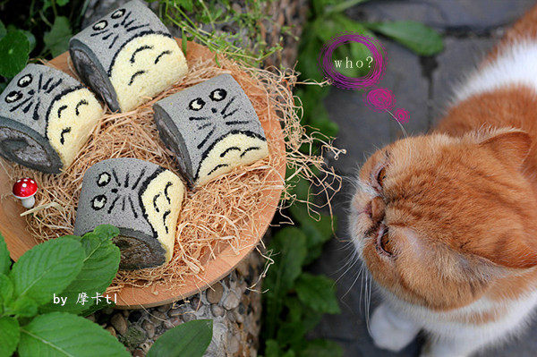 Cute Roll Cake - Totoro Swiss Roll