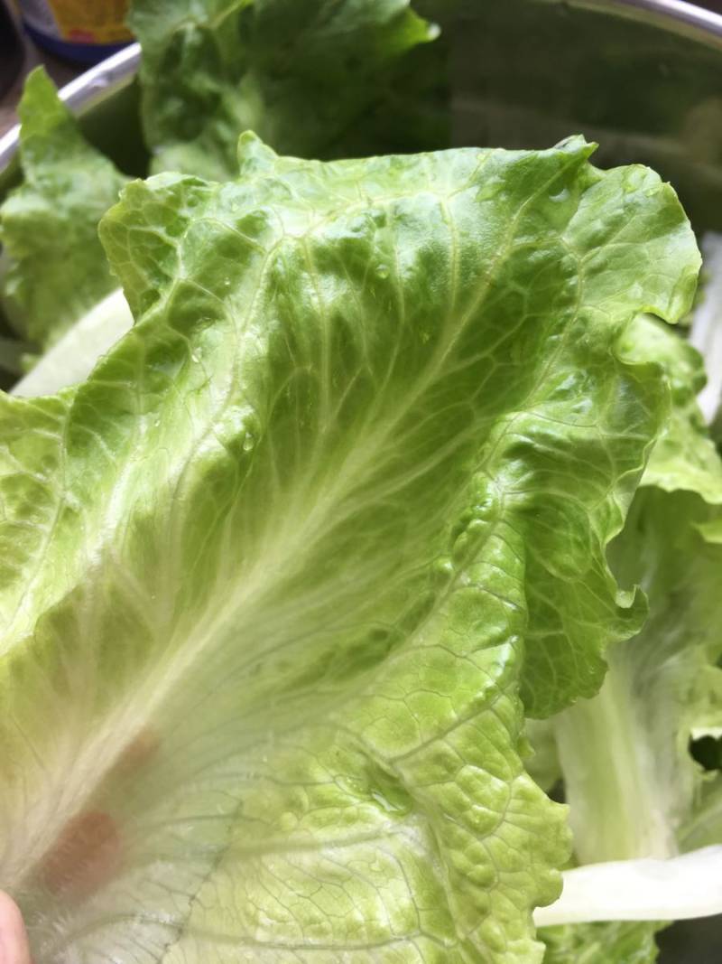 Steps for making Vietnamese Cabbage Rolls