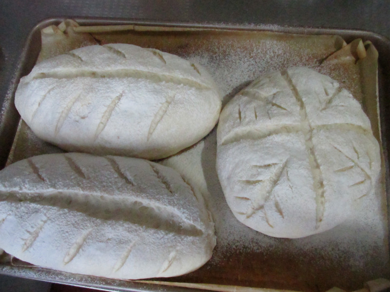 Steps for Making Pure Yogurt Soft European Bread