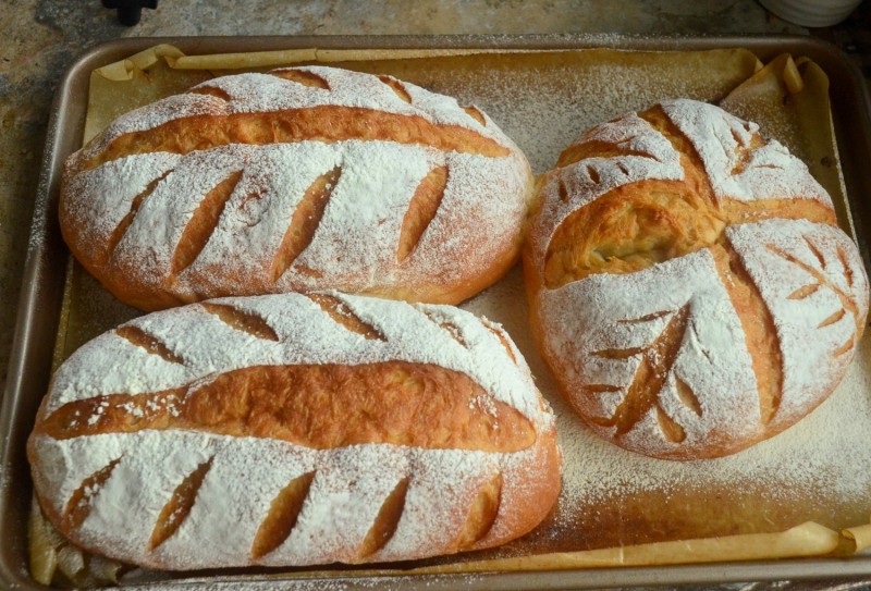 Steps for Making Pure Yogurt Soft European Bread