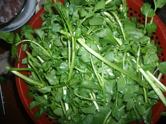 Steps for Cooking Fish Balls and Shrimp Balls with Watercress