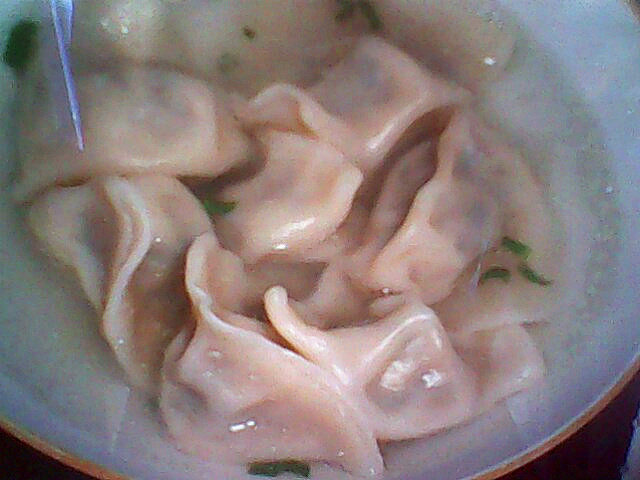 Homemade Dumplings