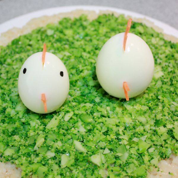 Steps to Make Little Chick Runs to Welcome Spring - Cute Chick Baby Rice