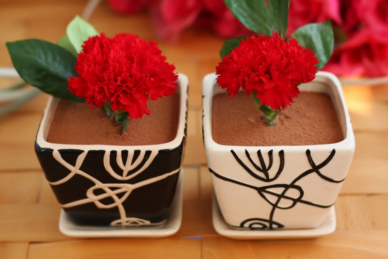 Steps to Make Flower Pot Mousse Cake