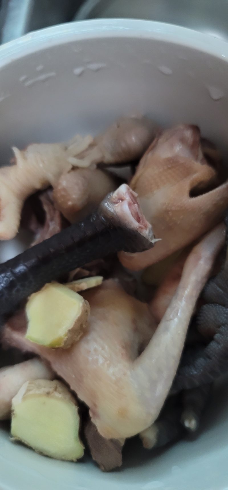 Steps for Cooking Pigeon, Chicken Feet and American Ginseng Soup