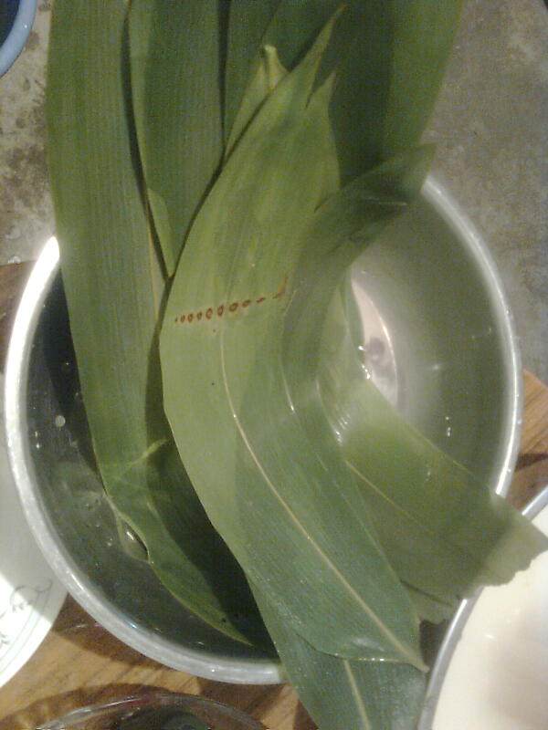 Steps to Make Fragrant Zongzi